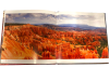 This is Bryce Canyon - Image 3 of 0