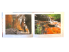 Zion National Park Photographic Little Book - Image 3 of 0