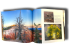 Bryce Canyon: A Photographic Journey - Image 2 of 0