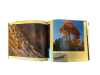 Bryce Canyon: A Photographic Journey - Image 3 of 0
