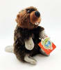 Adopt-a-Beaver!! - Image 3 of 0