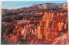 Bryce Canyon "Sunset Point" Metal Print - Image 1 of 0