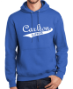 PORT & CO. ESSENTIAL 9 OZ. SWEATSHIRT HOODIE - 2 COLORS - Image 2 of 0