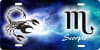Scorpio custom car tag Custom License Plates, Personalized License Plates, Decorative License Plates, Front License Plates, Car Tags, airbrush - Image 1 of 0