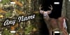deer hunter camo background personalized novelty license plate - Image 1 of 0