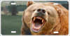 Grizzly Bear Roar Personalized Novelty Front License Plate Decorative Vanity Car Tag - Image 1 of 0