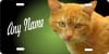 personalized novelty license plate orange tabby cat car tag Custom License Plates, Personalized License Plates, Decorative License Plates, Front License Plates, Car Tags, airbrush - Image 1 of 0