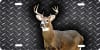 Whitetail Deer diamond plate Custom License Plates, Personalized License Plates, Decorative License Plates, Front License Plates, Car Tags, airbrush - Image 1 of 0