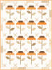 Black Eyed Susan Kit - Image 2 of 0
