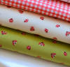 Ladybug-Ladybug Bundle- only 1 Left! - Image 2 of 0