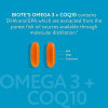 Photo of Biote Omega 3+CoQ10 from 1020 Wellness - Image 4 of 0
