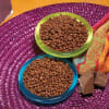photo of Bariatric Health & Wellness Chocolate Mini Crisps - Image 1 of 0