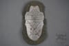 Original German WWII Demjansk Shield For Heer Or Waffen SS - Image 1 of 0