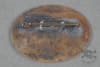 Original German Pre-WWII NSFK Deutschlandflug 1938 Badge by Gustav Brehmer - Image 2 of 0