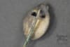 Original Third Reich Panzer Assault Badge In Silver Twist Stick Pin - Image 5 of 0