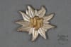 Original German WWII Sturmabtelung (SA) Hochland Edelweiss Cap Badge - Image 1 of 0