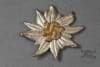 Original German WWII Sturmabtelung (SA) Hochland Edelweiss Cap Badge - Image 2 of 0