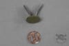 Original German WWII Helmet Liner Split Pin Marked 1944 - Image 2 of 0