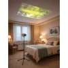 Sensory Vision Projector System - Image 1 of 0