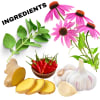 ECHINACEA PLUS Herbal Supplement 4 oz - Image 4 of 0