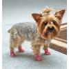 Dog Sandals - Image 5 of 0