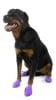 Pawz Dog Boots - Image 4 of 0