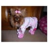 Dog Slippers - Bunny - Image 5 of 0