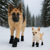 PolarPaws black soft sole waterproof outdoor dog booties for protection on damp or chilly walks - Image 4 of 0