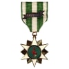 Vietnam Campaign Medal With Date Bar M0078 - Image 1 of 0