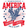 America Freedom Liberty Patriotic T-Shirt 18120 - Image 3 of 0