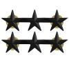 Lieutenant General 3 Star Submetal Insignia BM-124P - Image 2 of 0