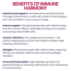 Immune Harmony - Image 4 of 0