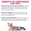 natural anti inflammatory for dogs - Image 3 of 0