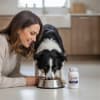 Glucosamine, MSM & Hyaluronic Acid Supplement For Dogs & Cats - Image 3 of 0