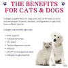Collagen For Dogs - Image 5 of 0
