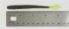 1031 Worm - Image 3 of 0