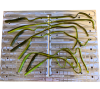 16" Spade Snake Worm - Image 4 of 0