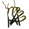 1064 Razor-Tail Ribbon Worm - Image 2 of 0