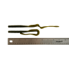 1064 Razor-Tail Ribbon Worm - Image 3 of 0