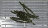 6" Fat Treat Worm - 10 cavity - Image 4 of 0