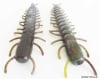 6" Hellgrammite - Image 3 of 0