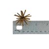 1.5" Buzzball - 10 Cavity - Image 4 of 0