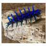 576  - 3" Flat Bottom Spikebug - Image 5 of 0