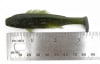 3.25" HDX Swimbait - Paddle Tail - Image 3 of 0