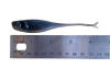 6055- 4.25" Straighttail - Image 3 of 0