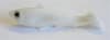 674 Swimbait - Image 1 of 0