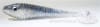 4.5" Ring Swimbait - Image 2 of 0