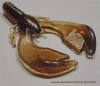 712 Craw - Image 1 of 0