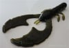 725-S Craw - Image 2 of 0