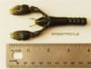 731 Craw - Image 3 of 0